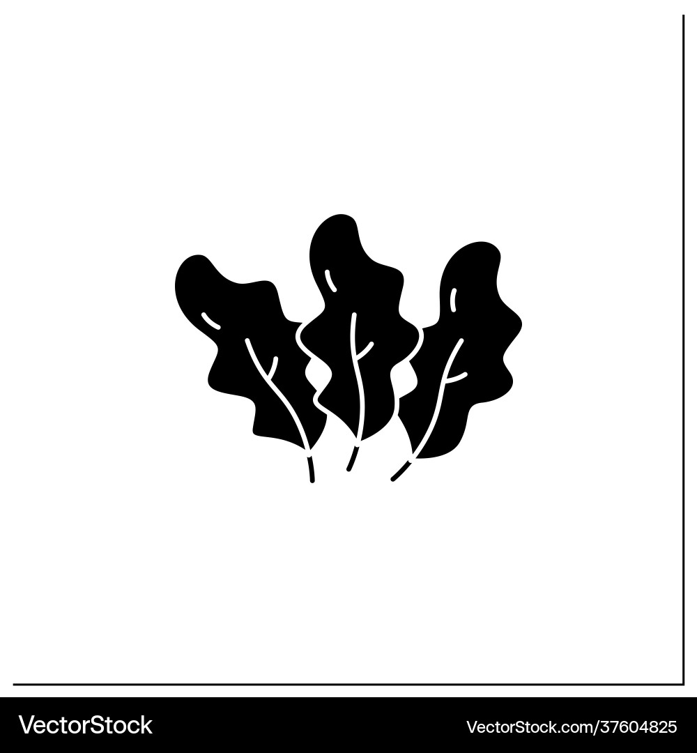 Spinach Leaf Icon Royalty Free Vector Image - VectorStock