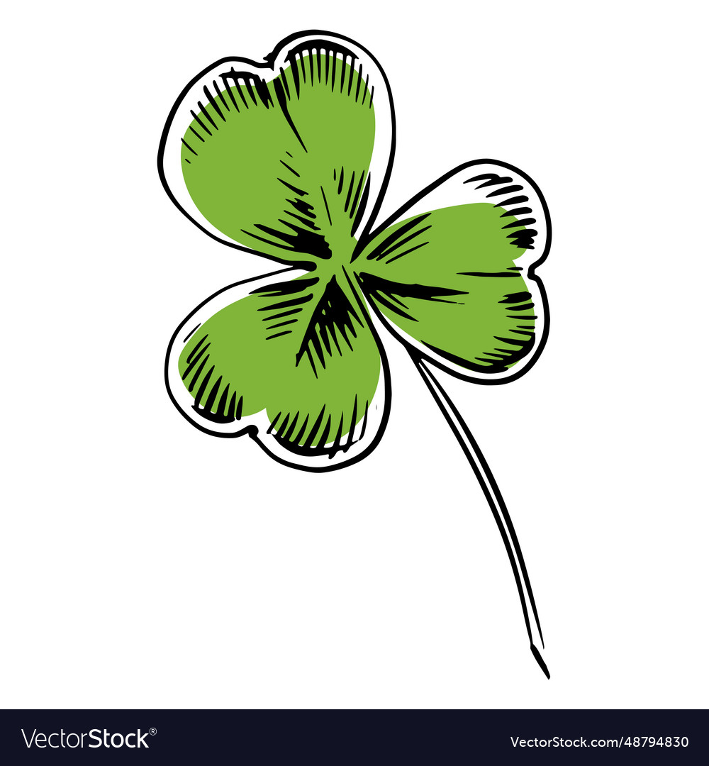 Drawn Clover Leaf Royalty Free Vector Image - Vectorstock