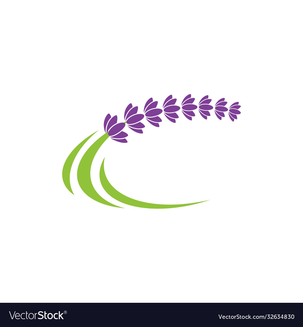 Lavender flower icon vector image Lavender flower icon