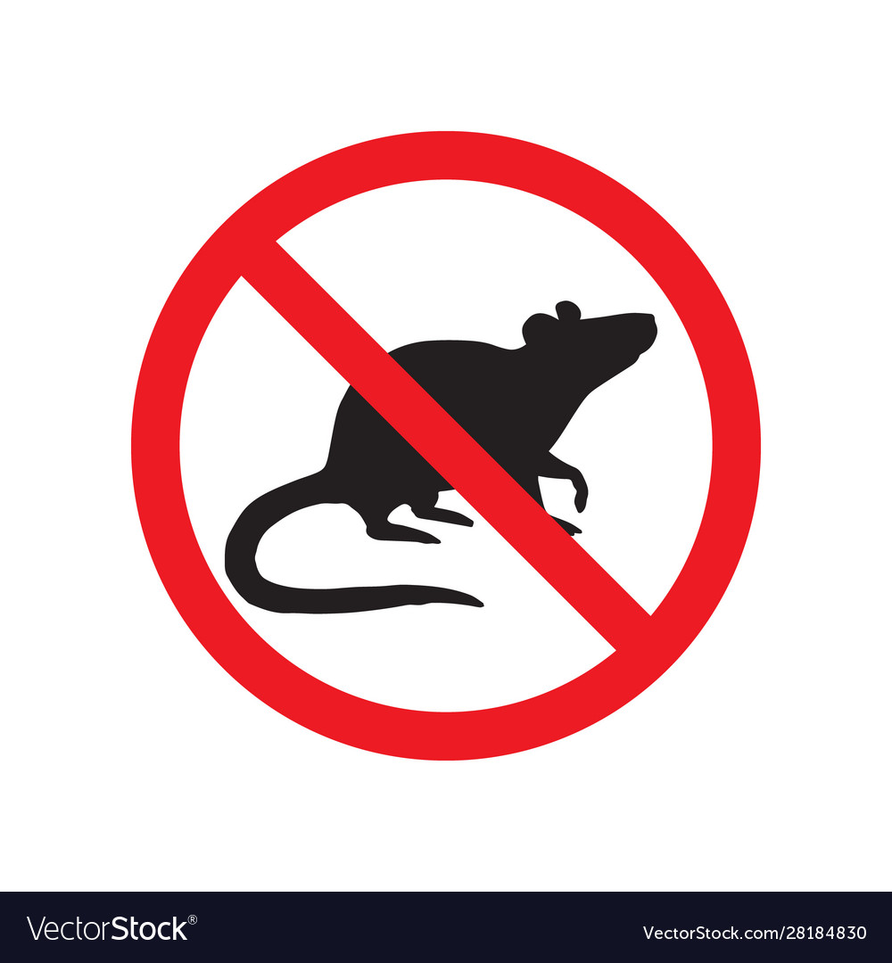 Rat mouse silhouette crossed in red circle Vector Image