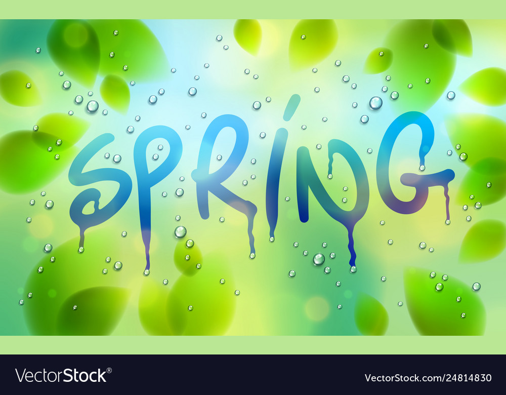 Spring word drawn on a window fresh green leaves Vector Image