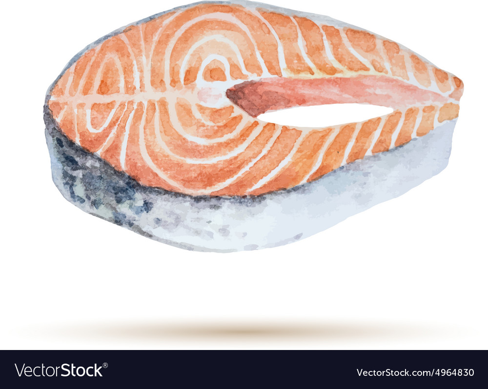 Watercolor steak fish Royalty Free Vector Image