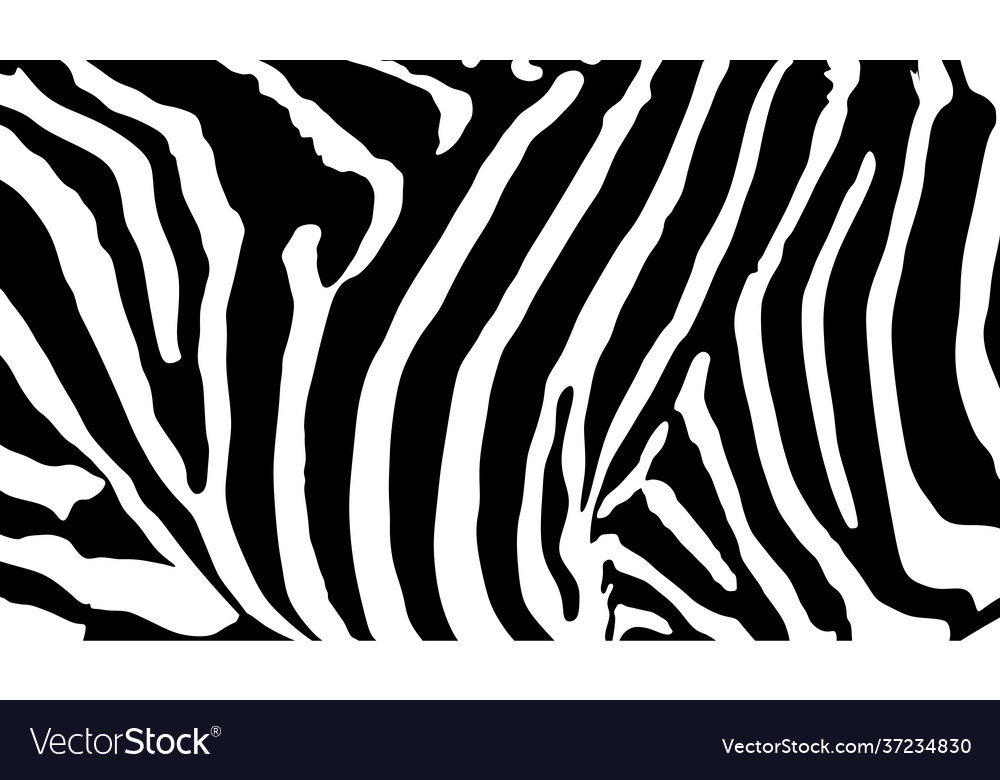 Zebra Haut Muster wild Tier Pelz