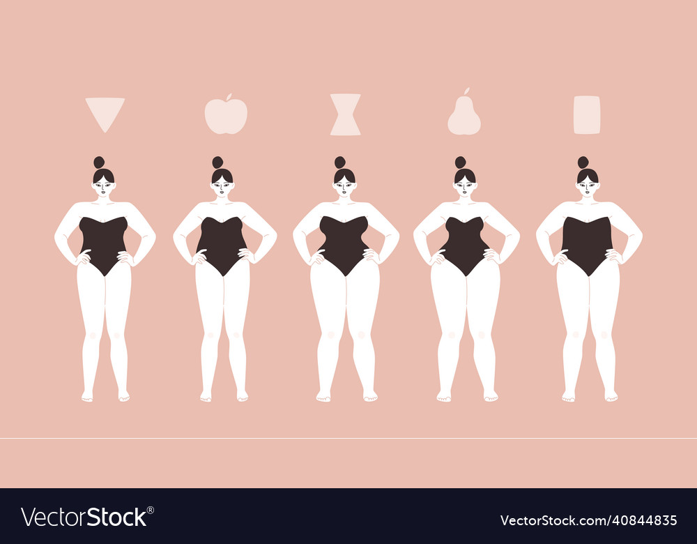 Female body types Royalty Free Vector Image - VectorStock