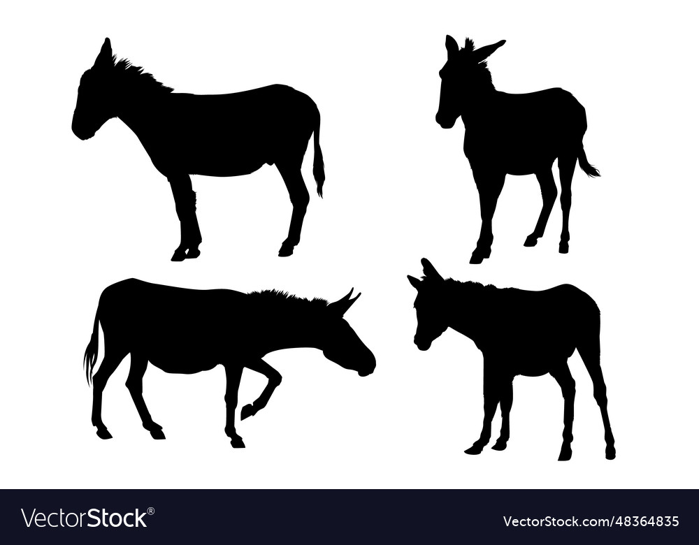 Hand drawn donkey silhouette isolated on white Vector Image