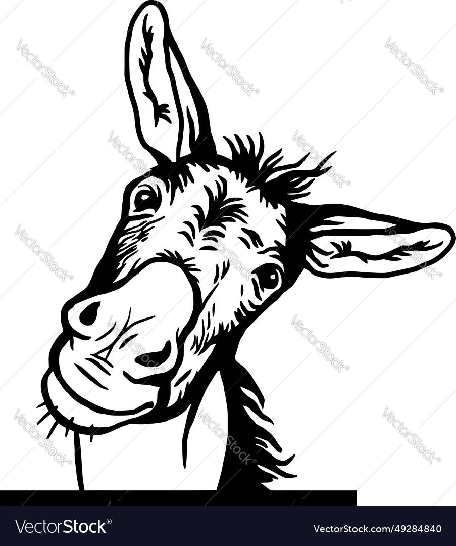 Peeking donkey - funny peek animal face head Vector Image