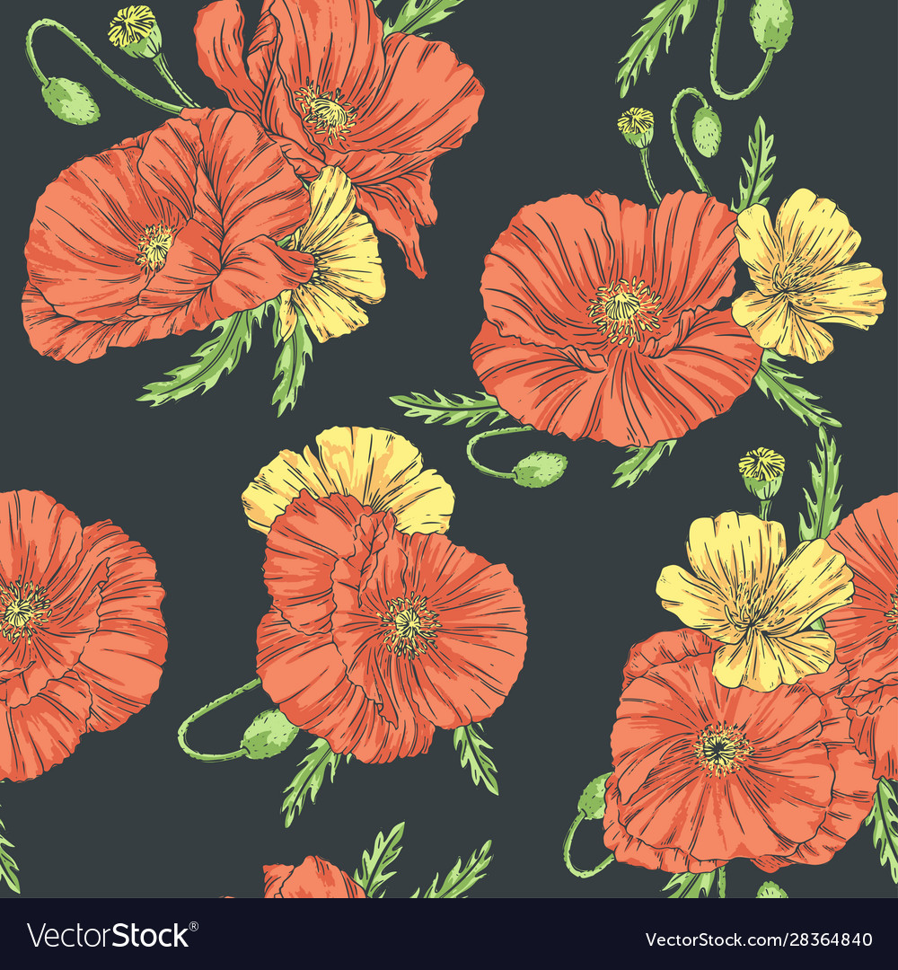 Poppies seamless pattern dark background Vector Image