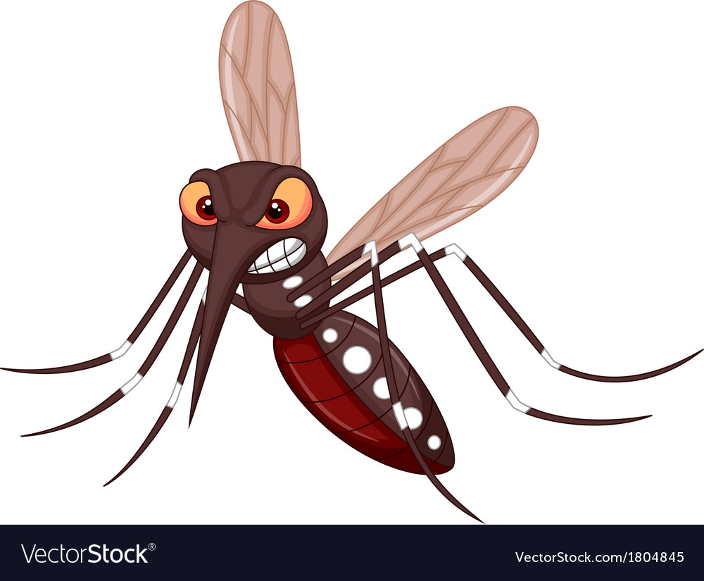 Angry mosquito cartoon