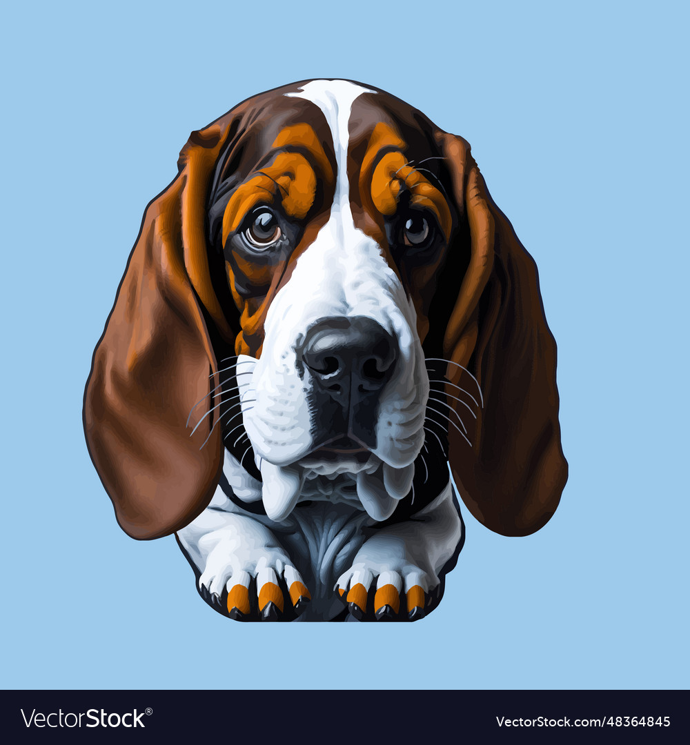 Basset hound dog color image of a dogs head Vector Image