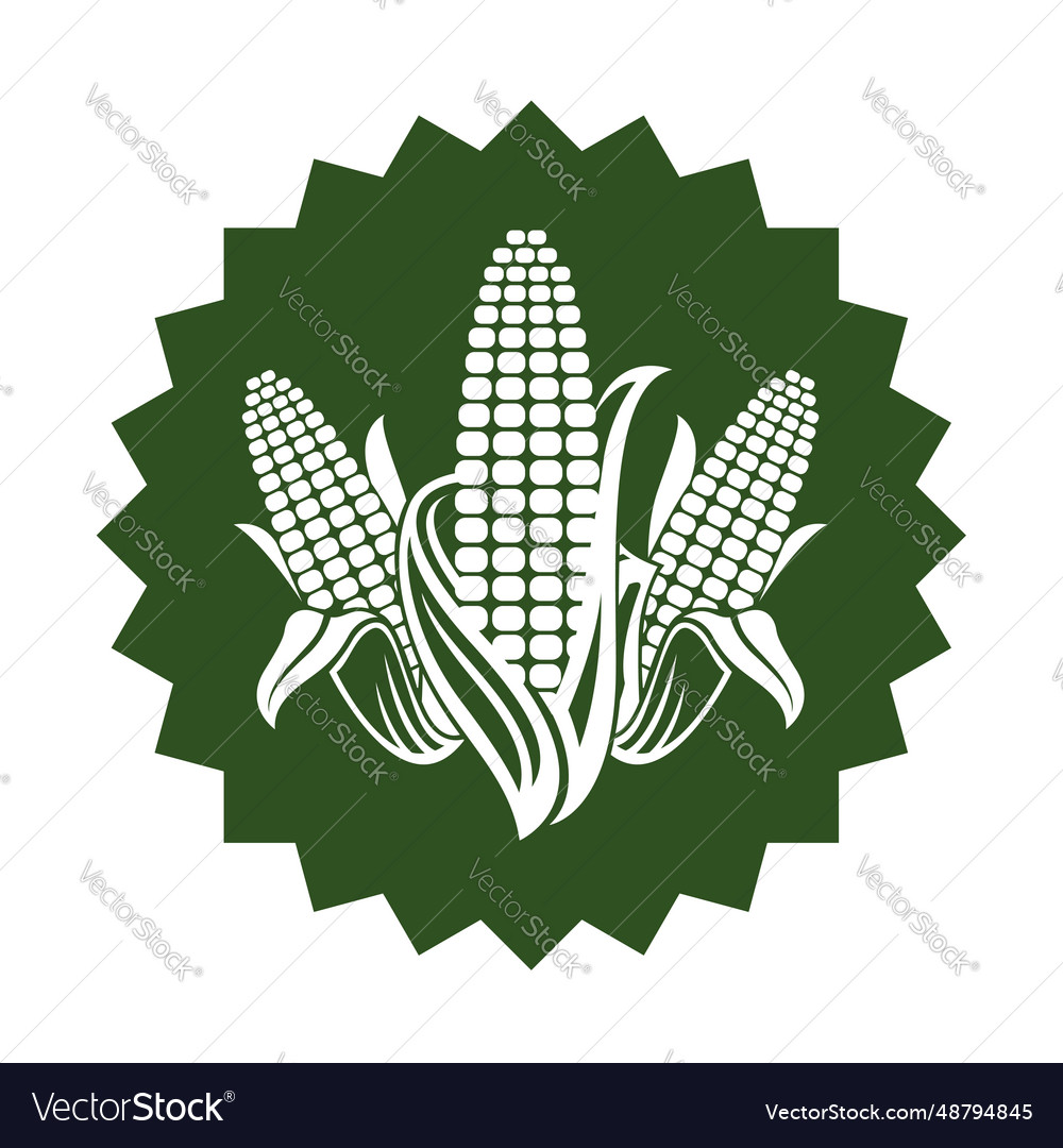 Corn cob emblem Royalty Free Vector Image - VectorStock