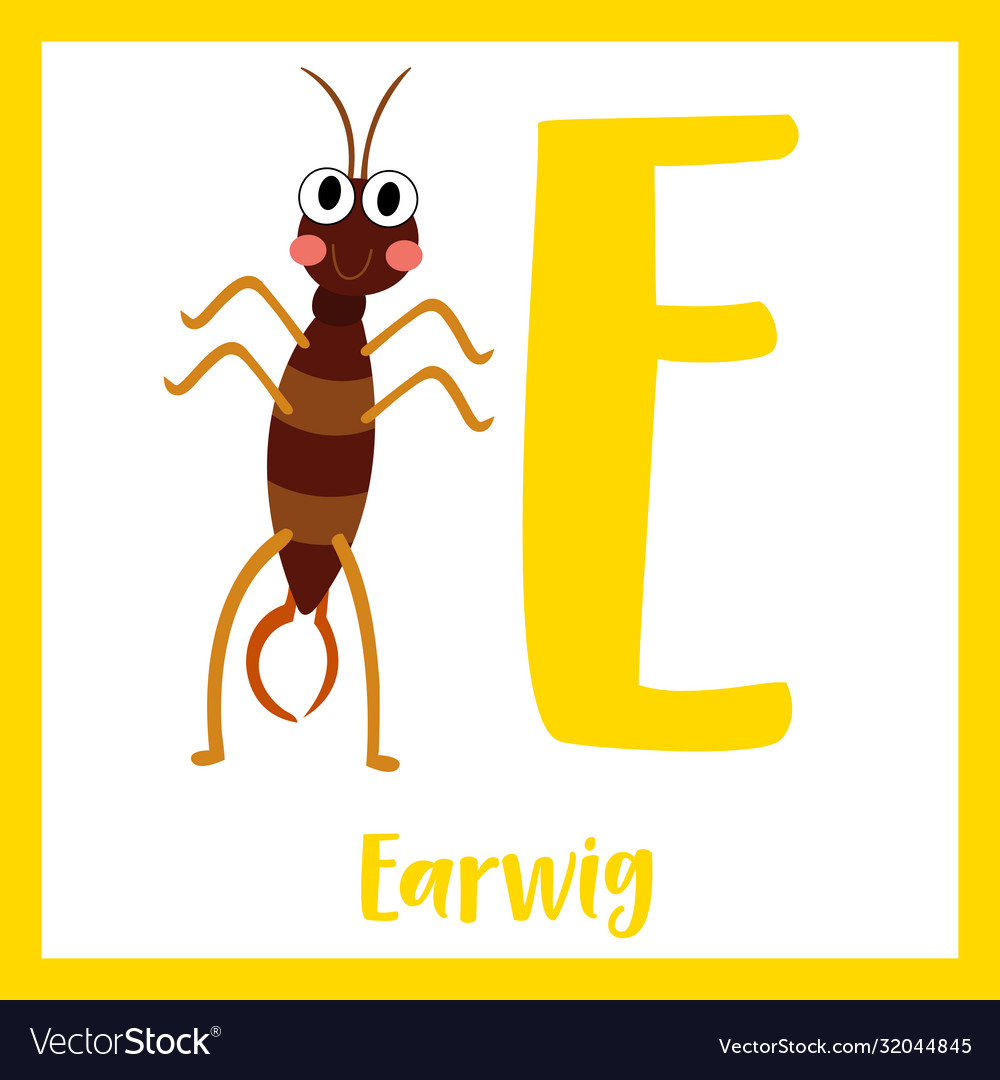 Letter e vocabulary earwig standing on two legs vector image Letter e vocabulary earwig standing on two legs