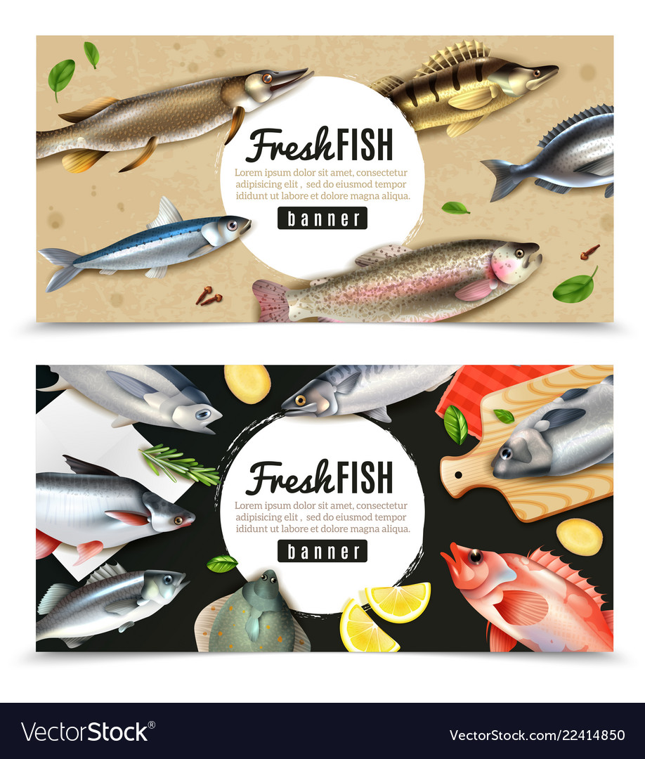 Fishes Horizontal Banners Royalty Free Vector Image
