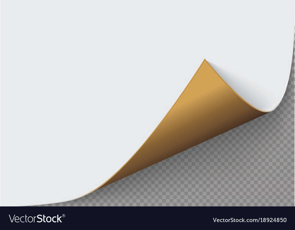 Page curl with shadow on a blank sheet of paper