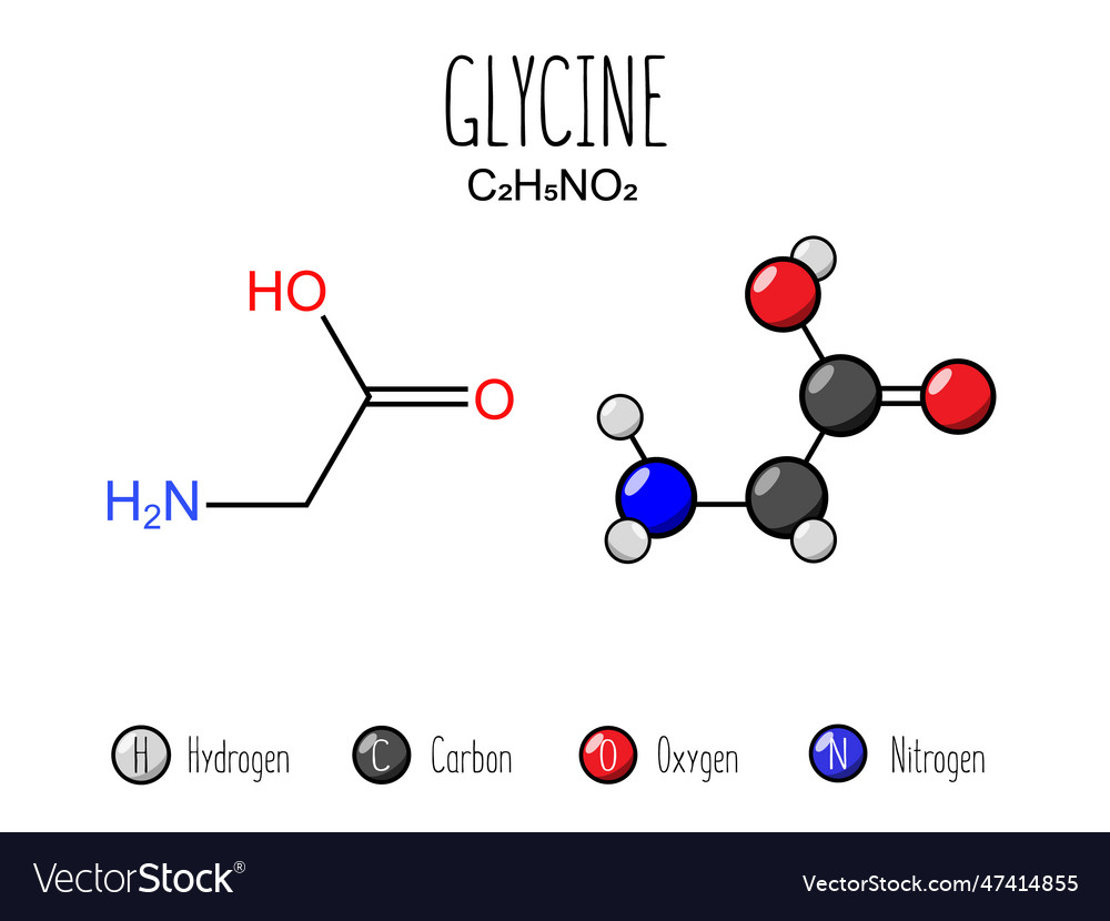 Glycine amino acid representation Royalty Free Vector Image