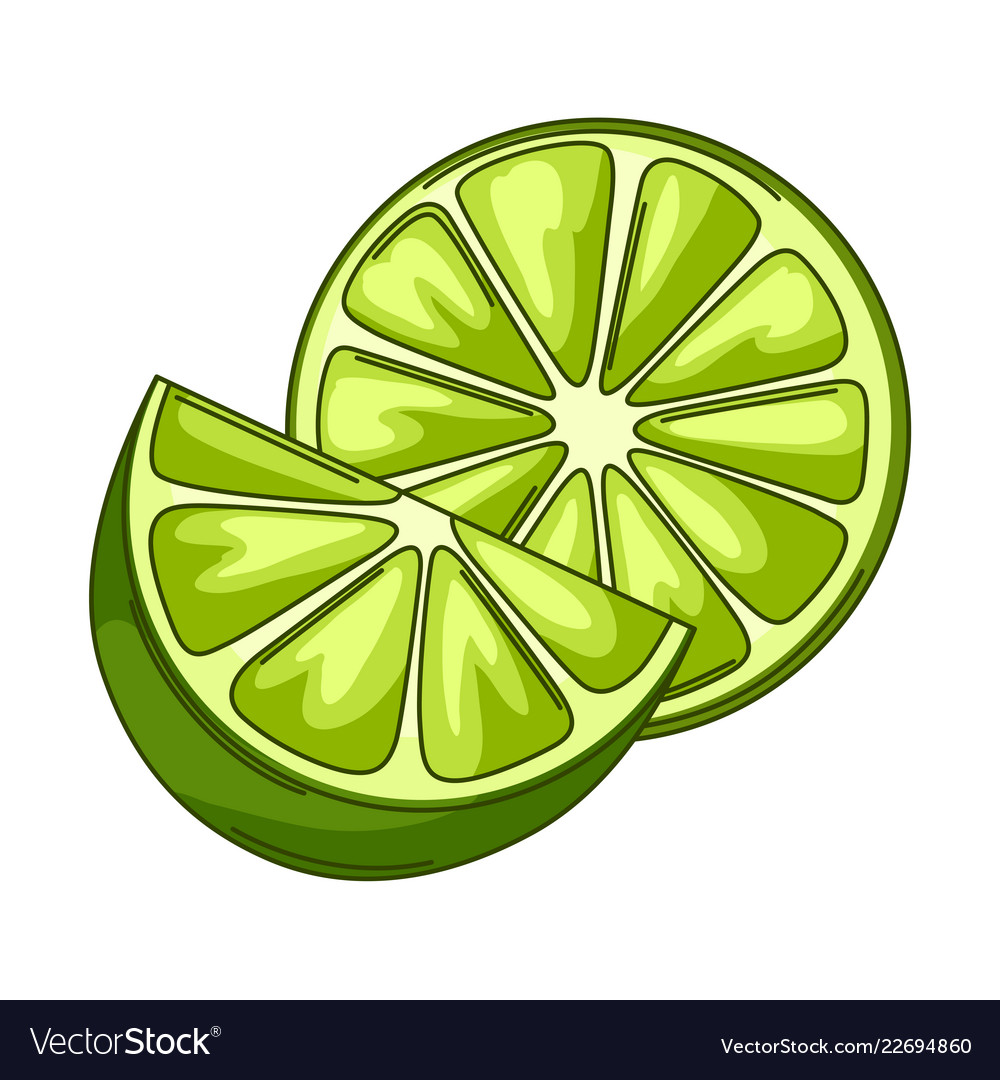 Limes whole and slices Royalty Free Vector Image