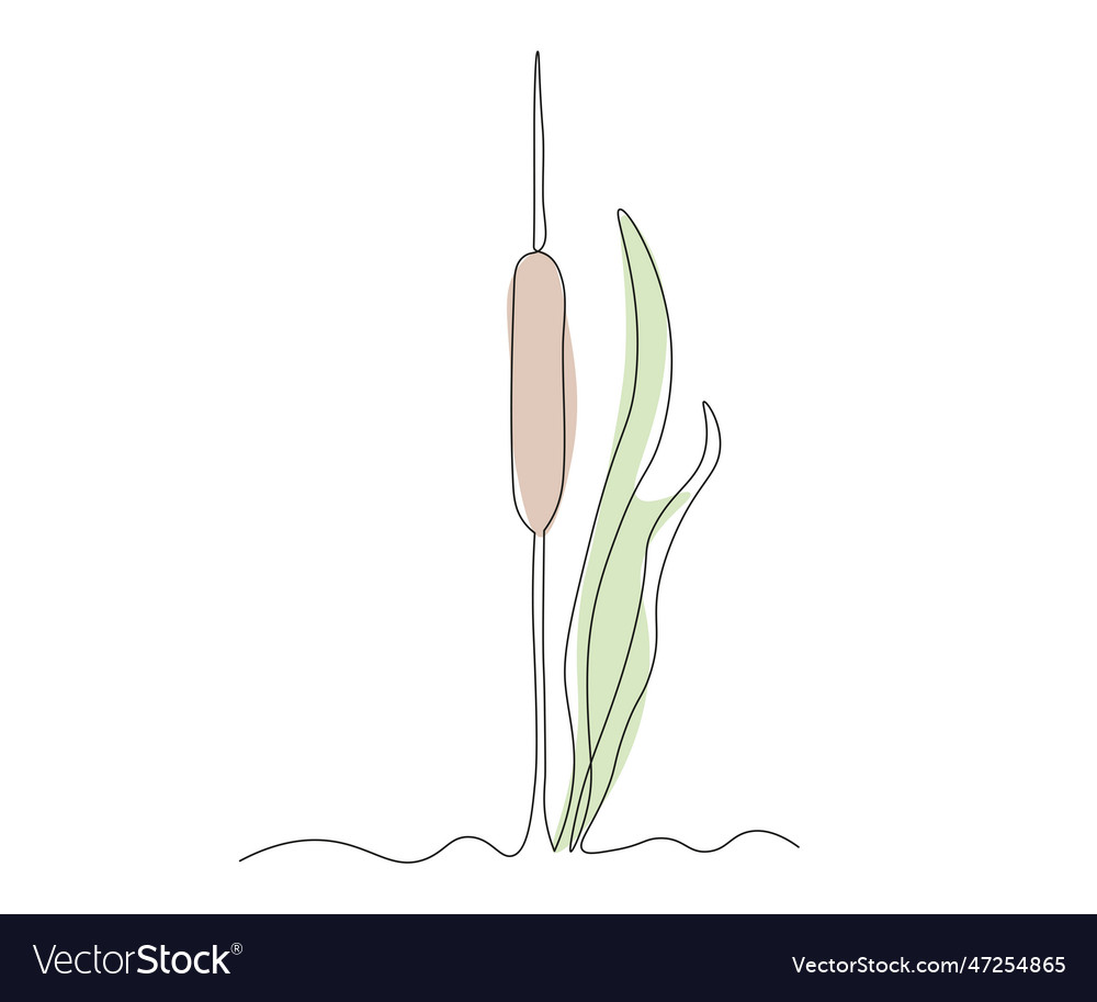 Abstract reed continuous one line drawing