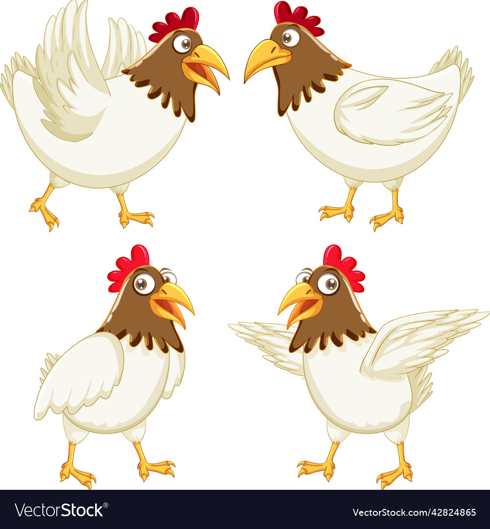 Chicken cartoon characters set Royalty Free Vector Image