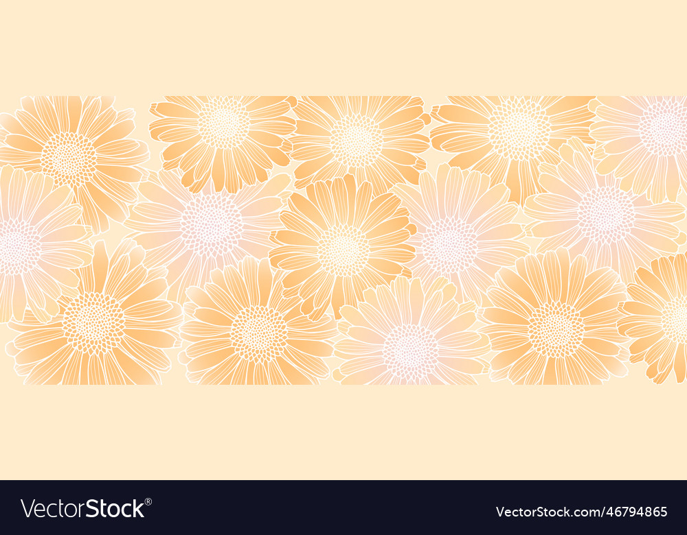 Floral background with marigold flowers