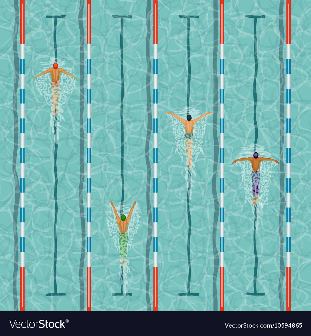 Swimmers in swimming pool Royalty Free Vector Image