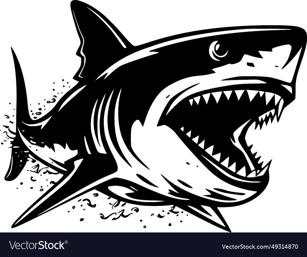 Shark - high quality logo ideal for t-shirt