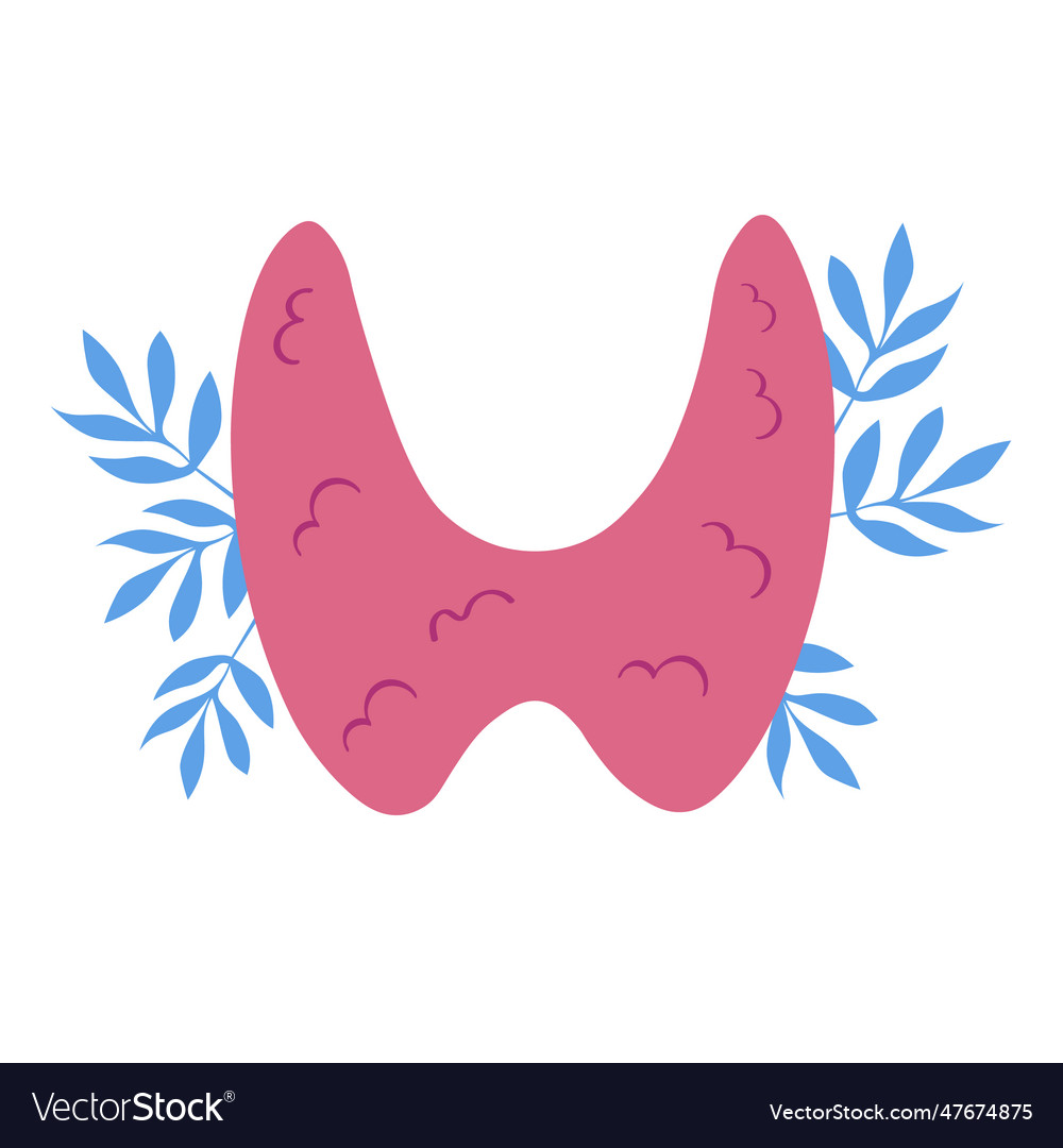 Thyroid gland endocrinology