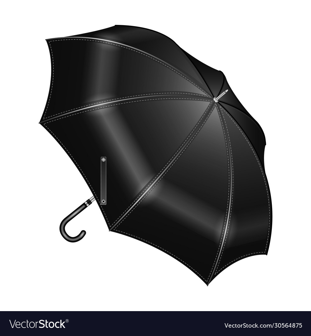 Umbrella iconrealistic icon