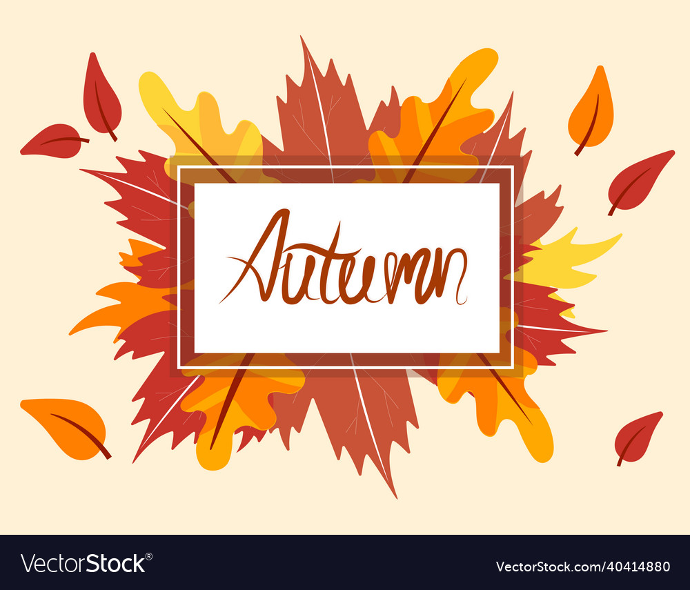 Autumn background concept