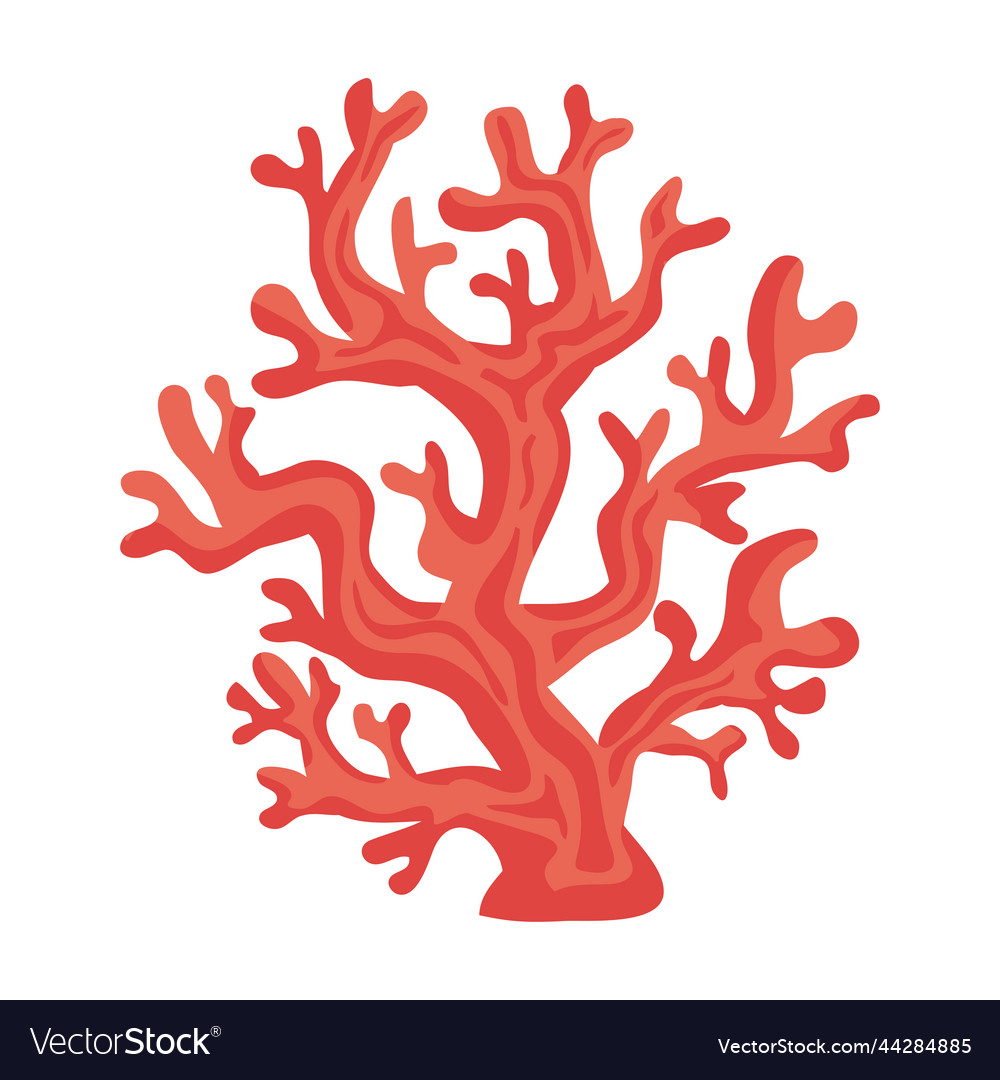 Red Coral Reef Sealife Royalty Free Vector Image