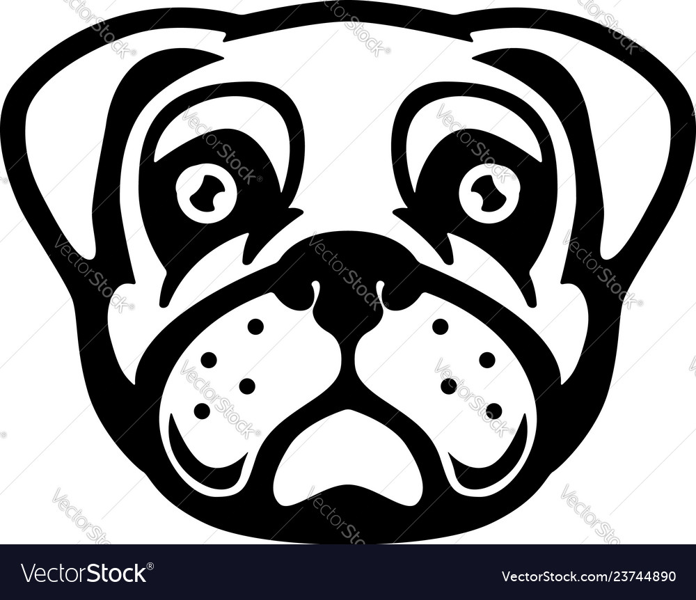 Pug dog head in engraving style design element vector image Pug dog head in engraving style design element