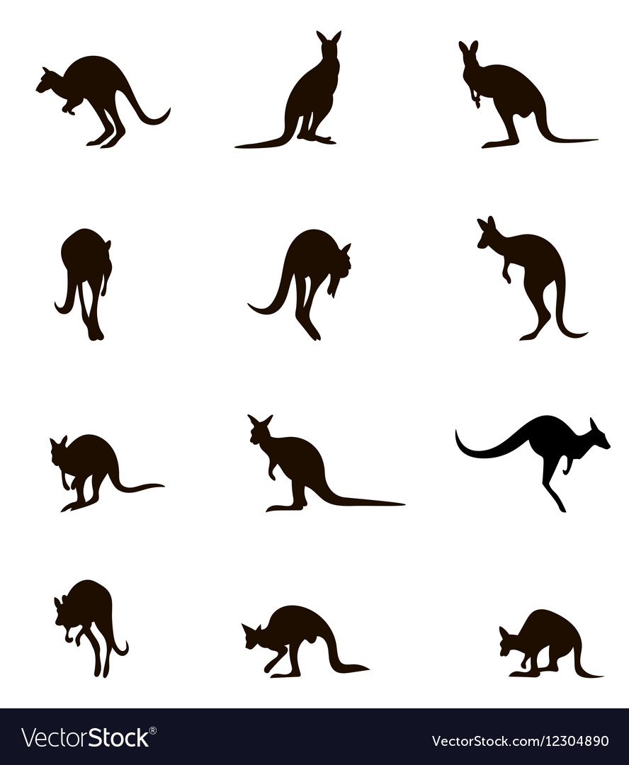 Kangaroo Silhouette Vector