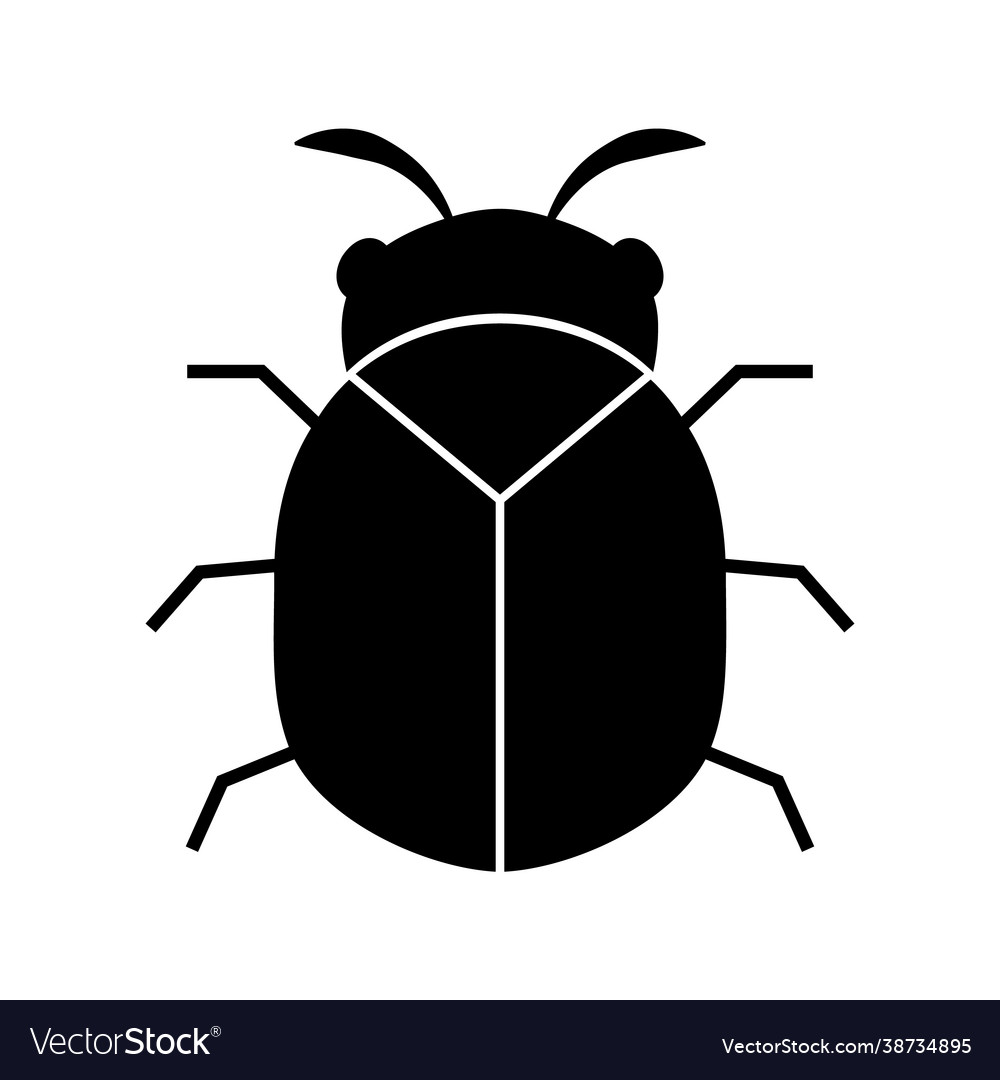 A black beetle coleoptera family Royalty Free Vector Image