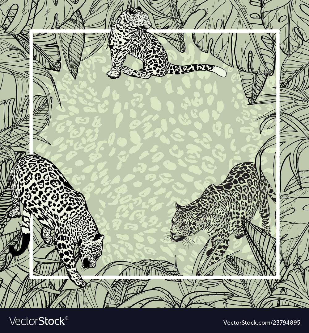 Leopard & Big Cats Tropical Banner
