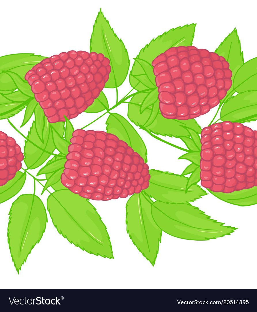 Raspberry seamless patterns endless ornament twig