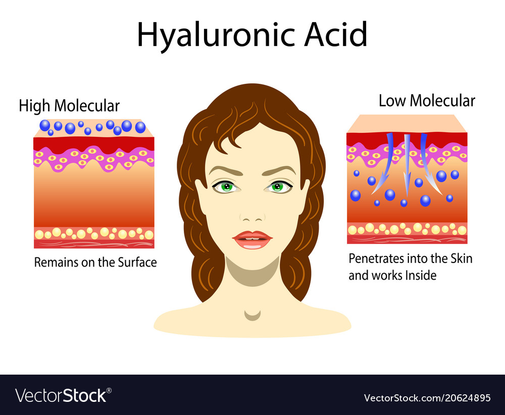 Гиалурон и коллаген разница для лица. Высокомолекулярная и низкомолекулярная гиалуроновая кислота. Иконки гиалуроновая кислота и коллаген для лица. Низкомолекулярная гиалуроновая кислота.