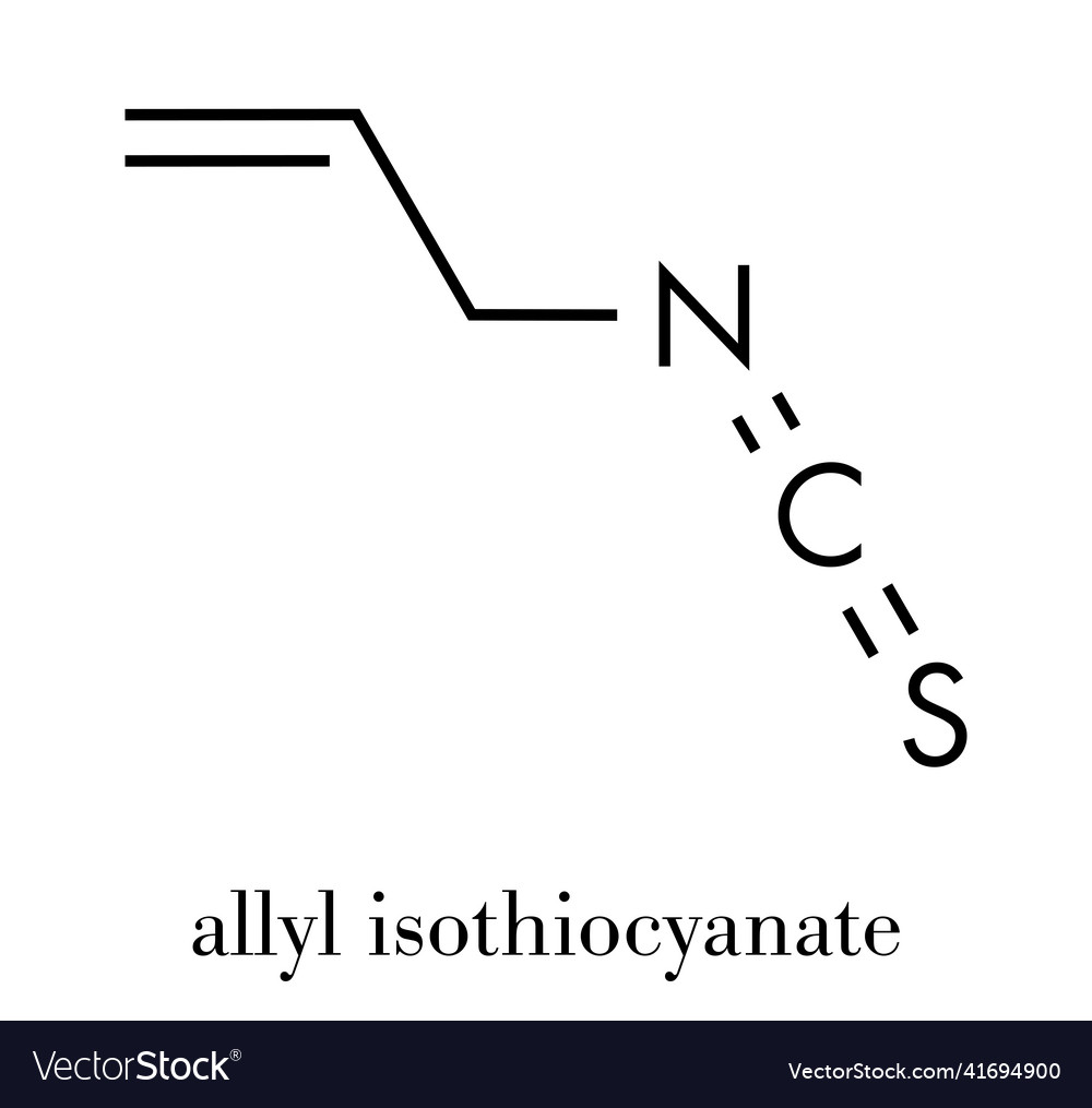 Allyl isothiocyanate mustard pungency molecule Vector Image