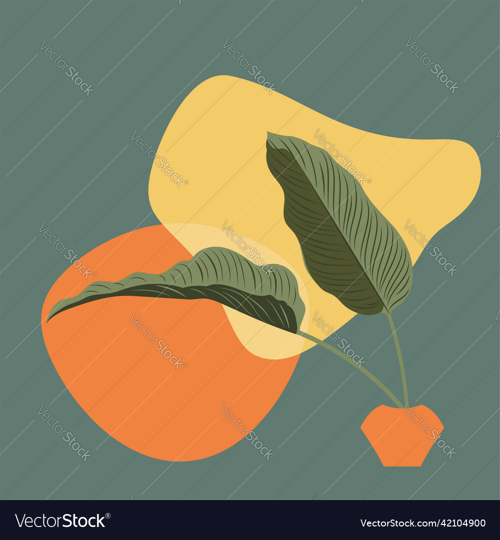 Calathea leaves with abstract shapes