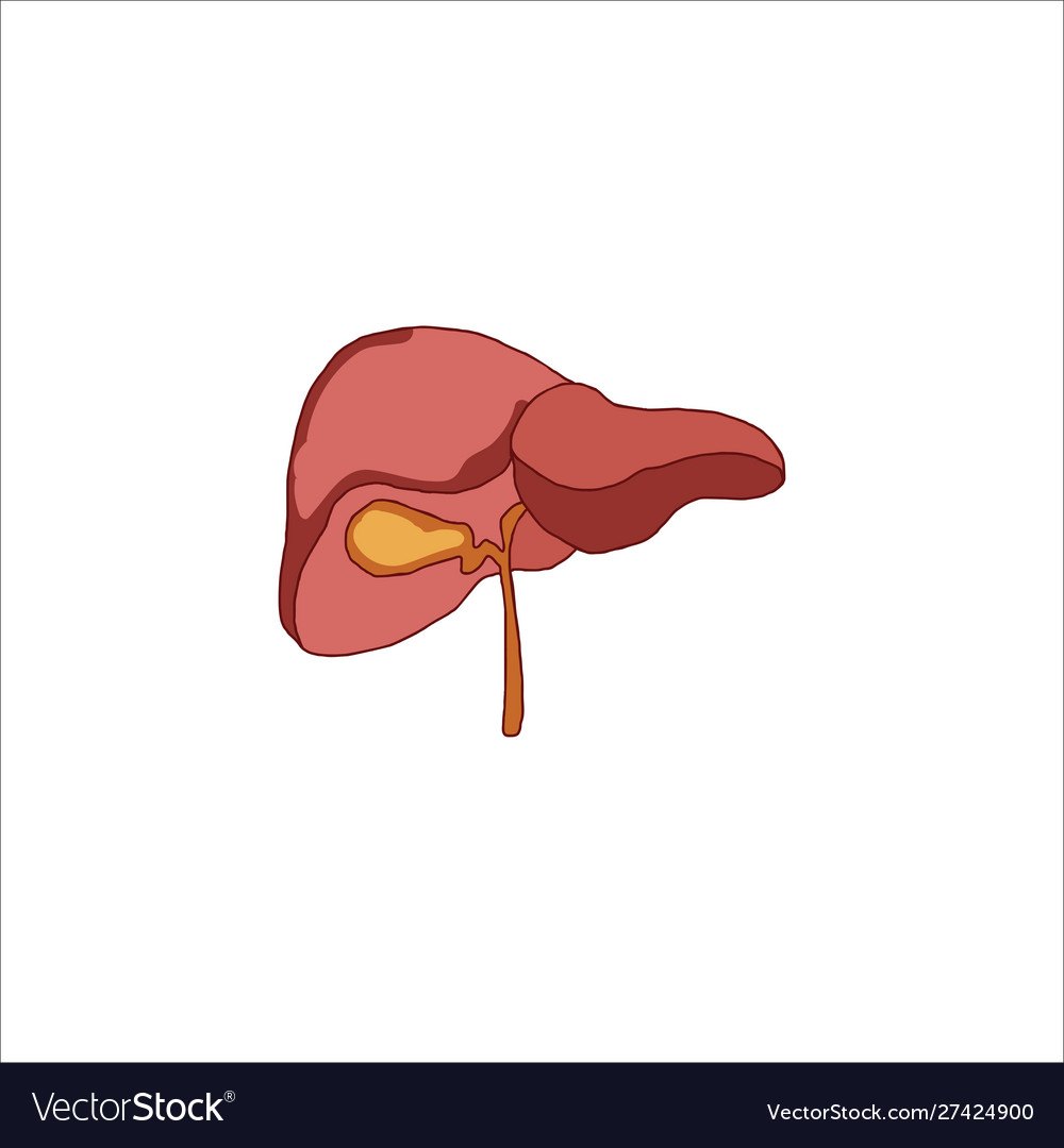 Liver icon flat logo Royalty Free Vector Image