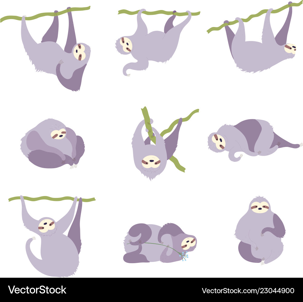 Set cute character sloth Royalty Free Vector Image