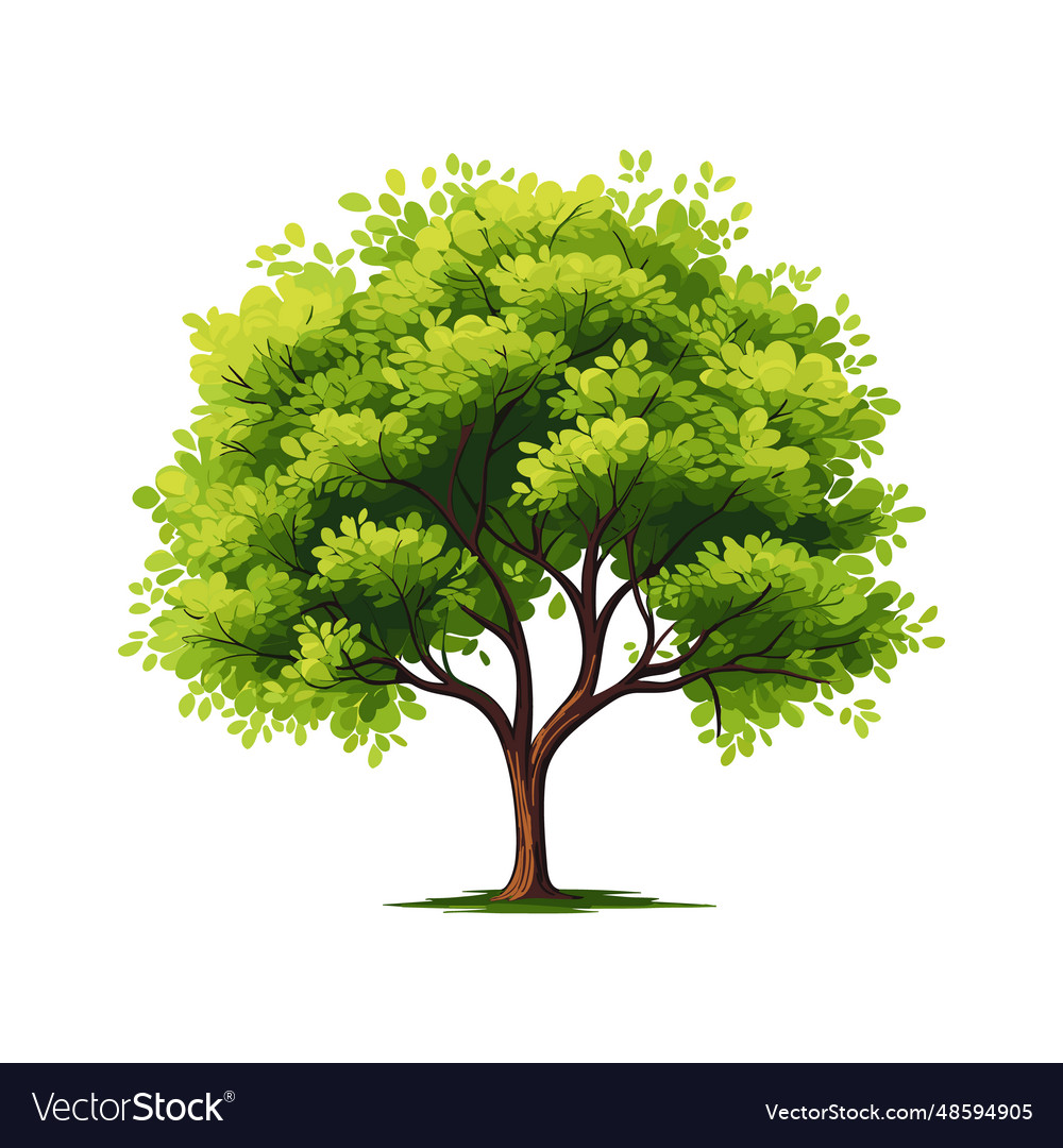 Cartoon realistic tree