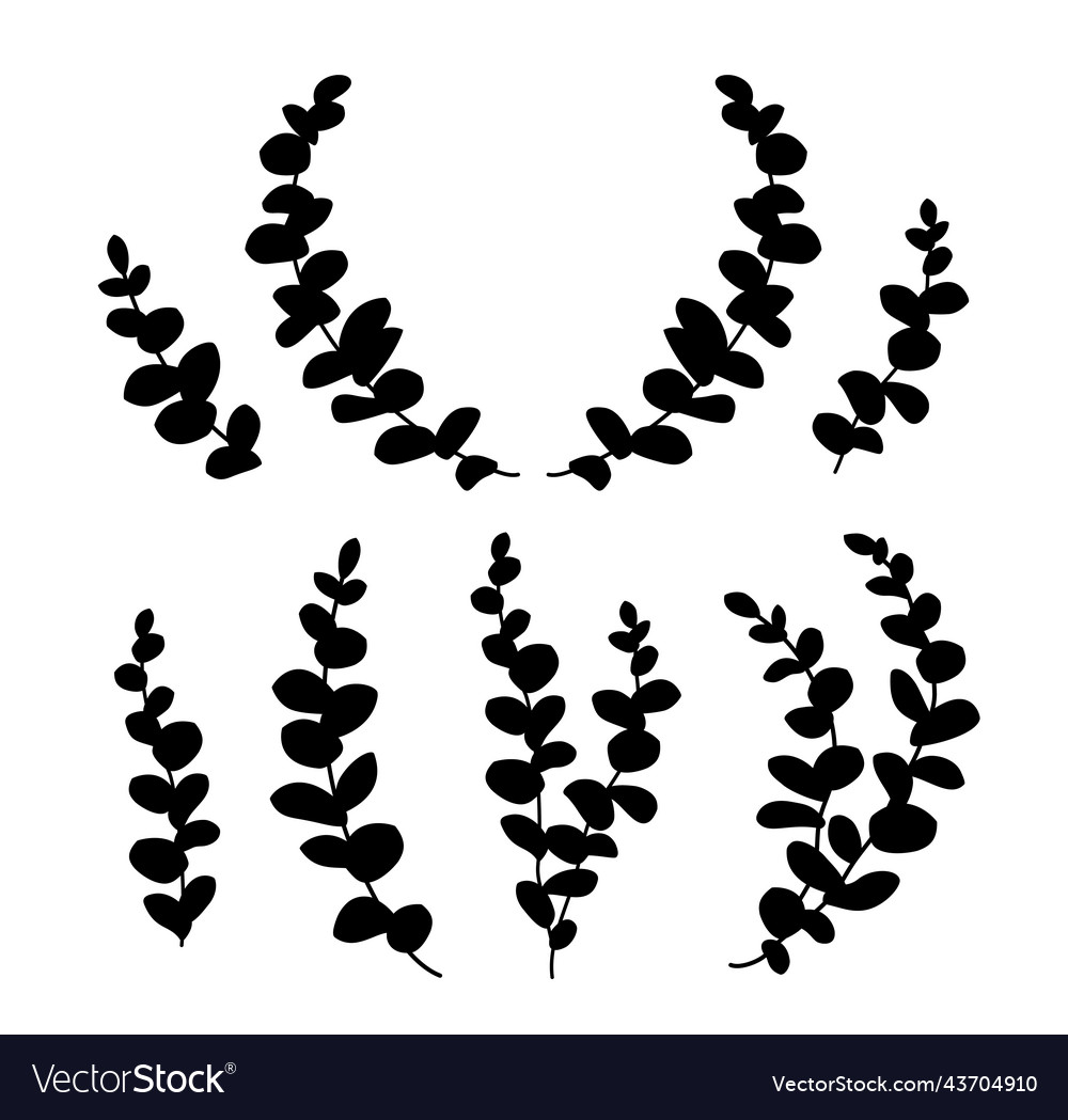 Eucalyptus Branch SVG