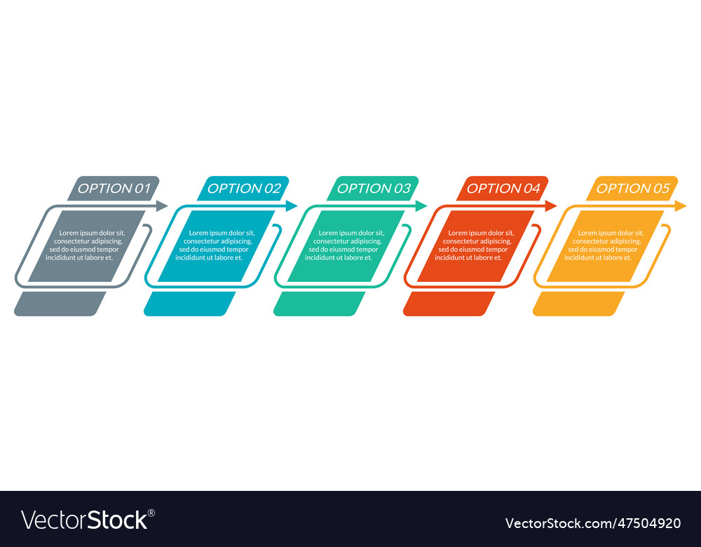 5 steps option or levels line infographic vector image 5 steps option or levels line infographic