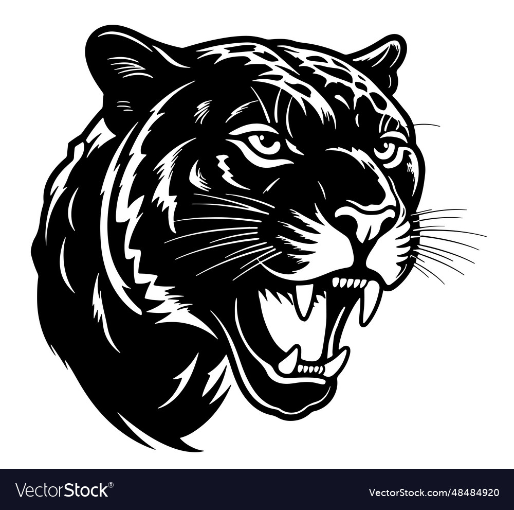 Panther head hand drawn sketch Royalty Free Vector Image