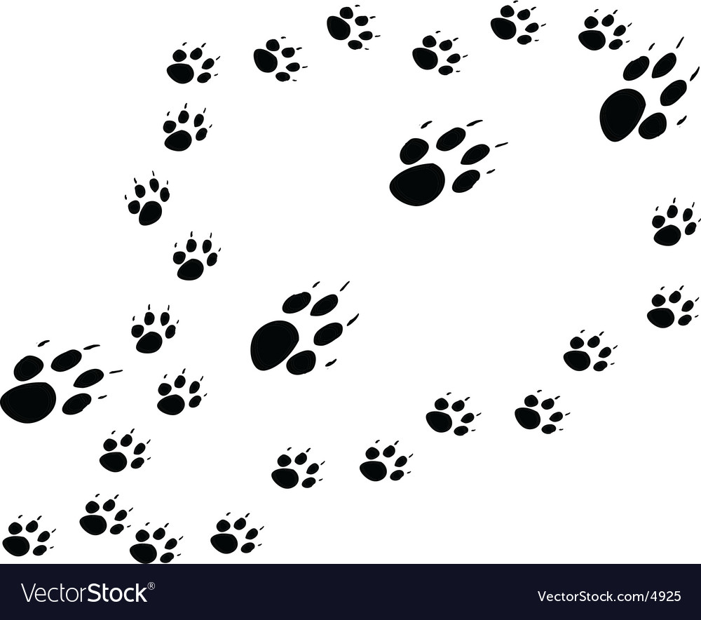 Dog Paw Prints Pattern