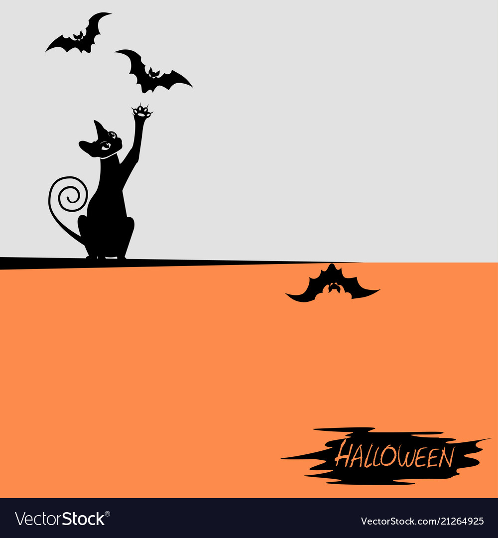 Halloween background with a black cat