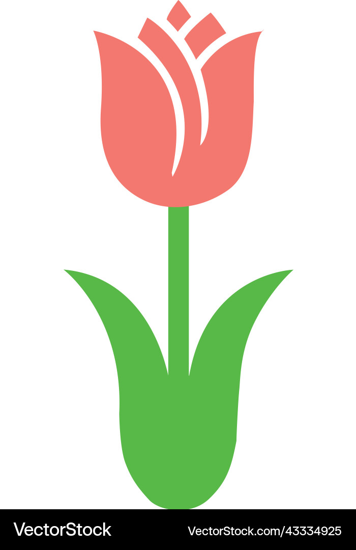 Tulip 6 Royalty Free Vector Image - VectorStock