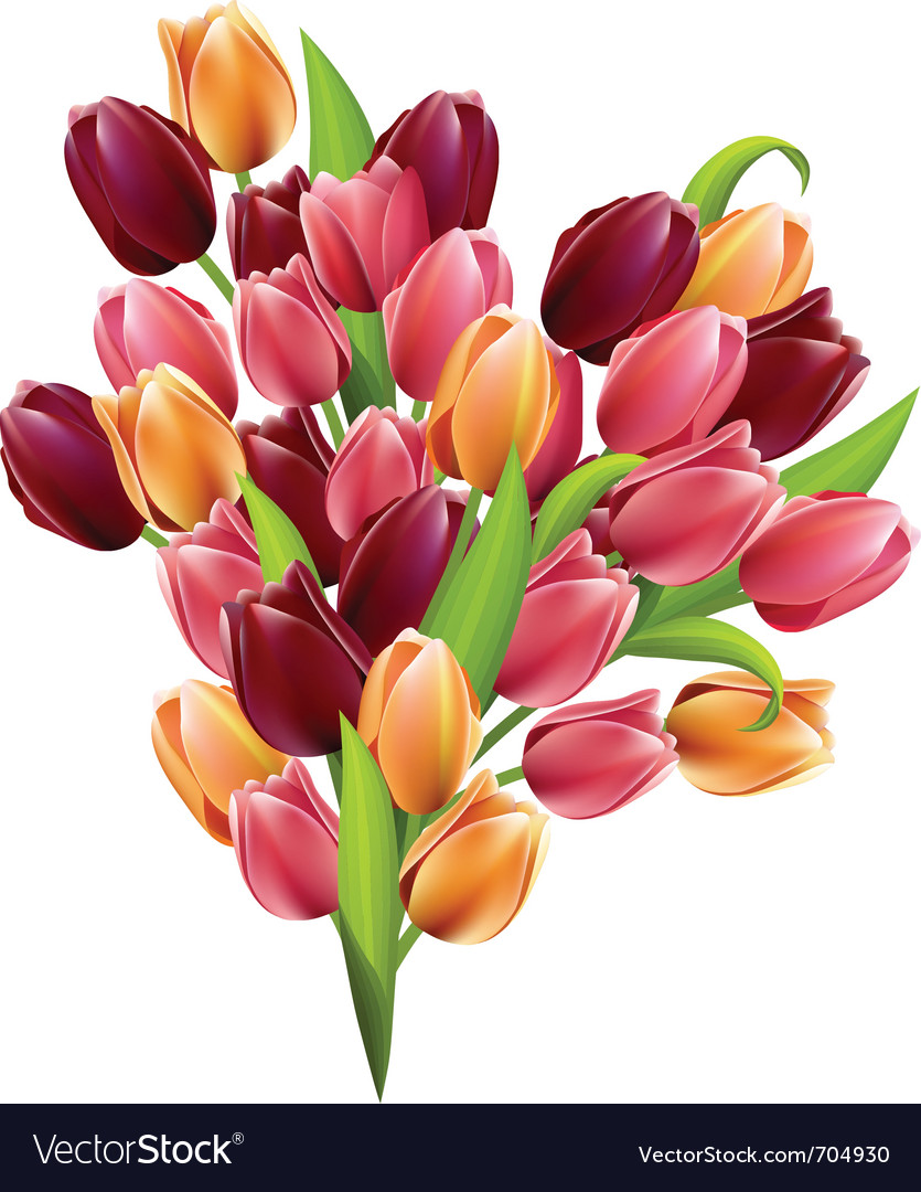 bunch of tulips royalty