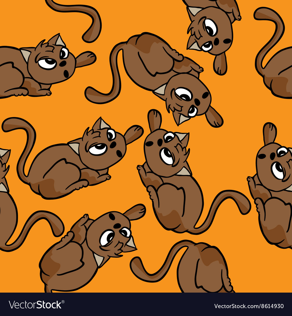 Cat pattern