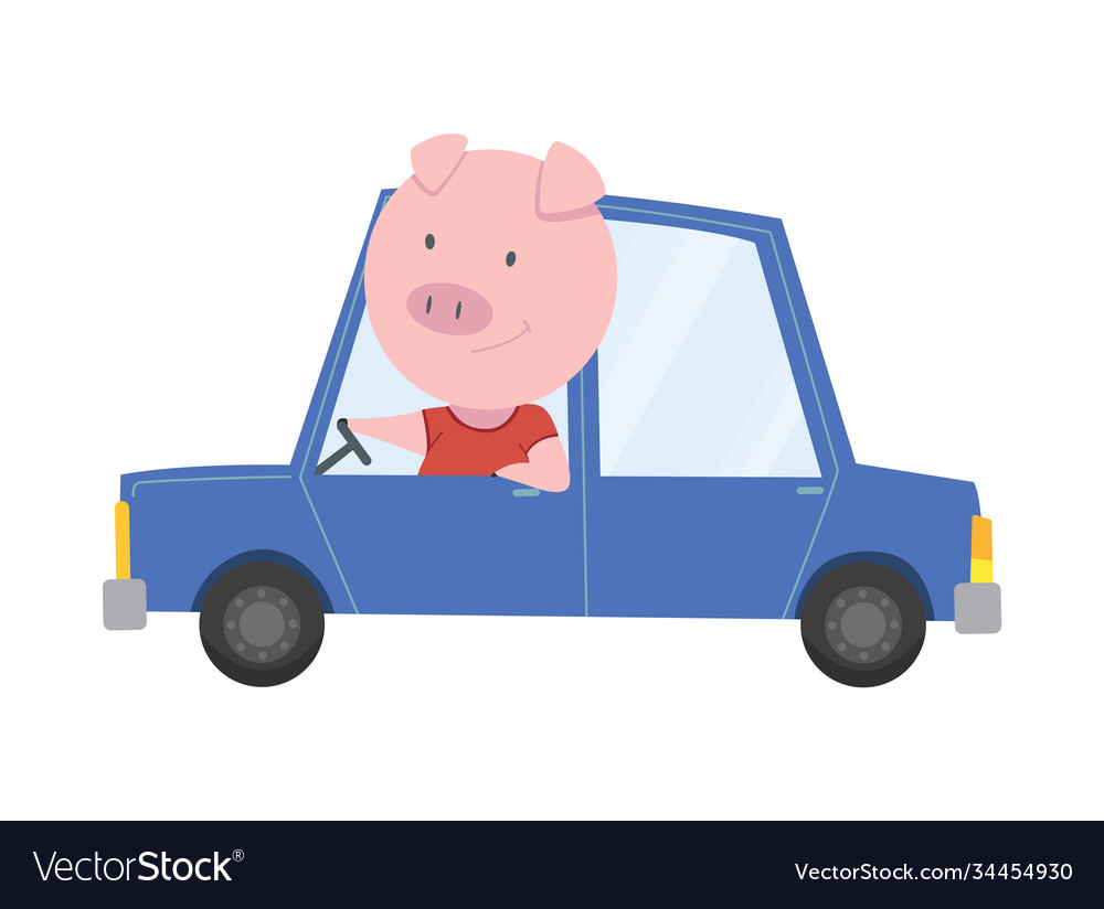 Colored kids transport with cute little pig or hog