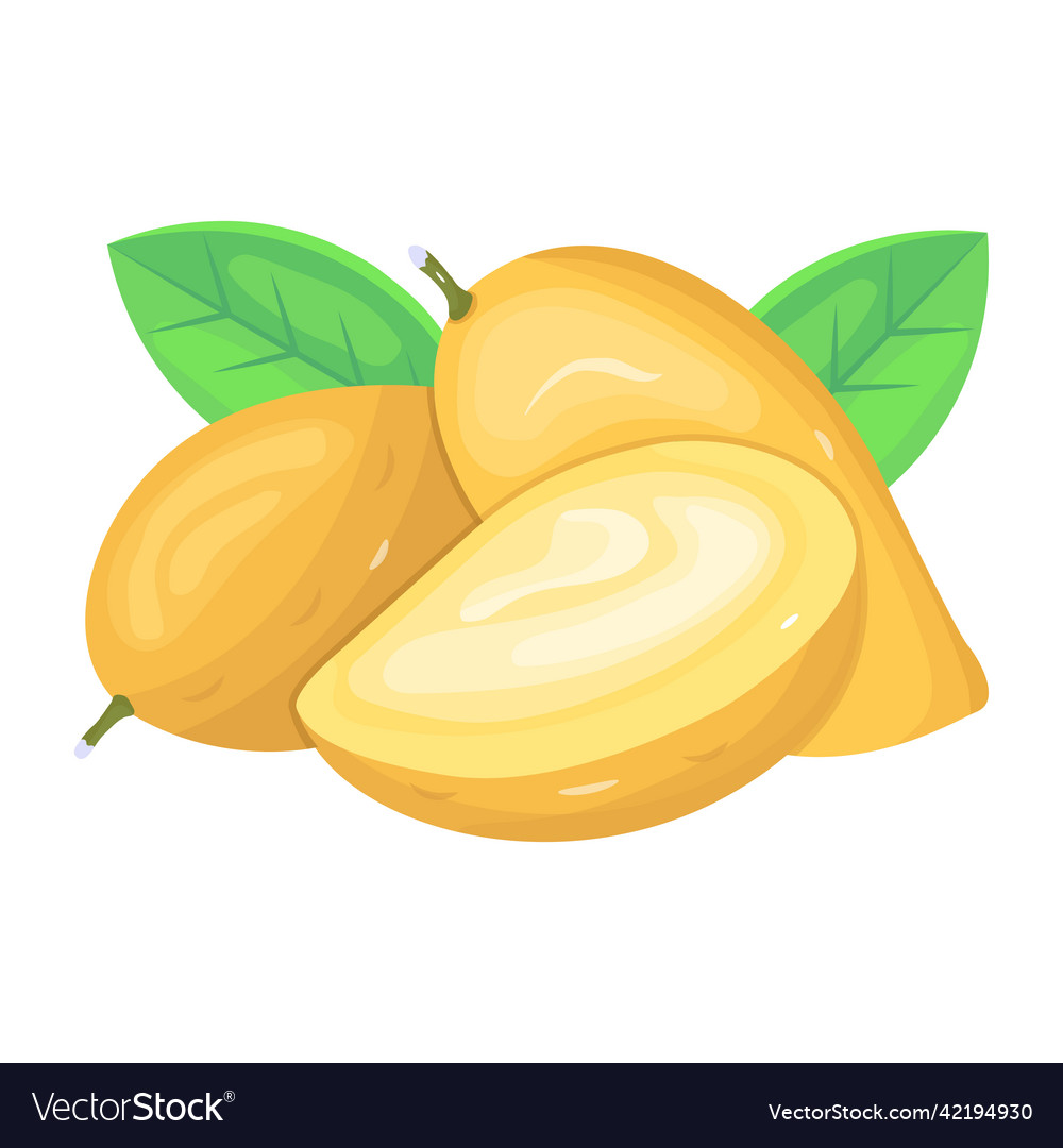 Mangoes Royalty Free Vector Image - VectorStock