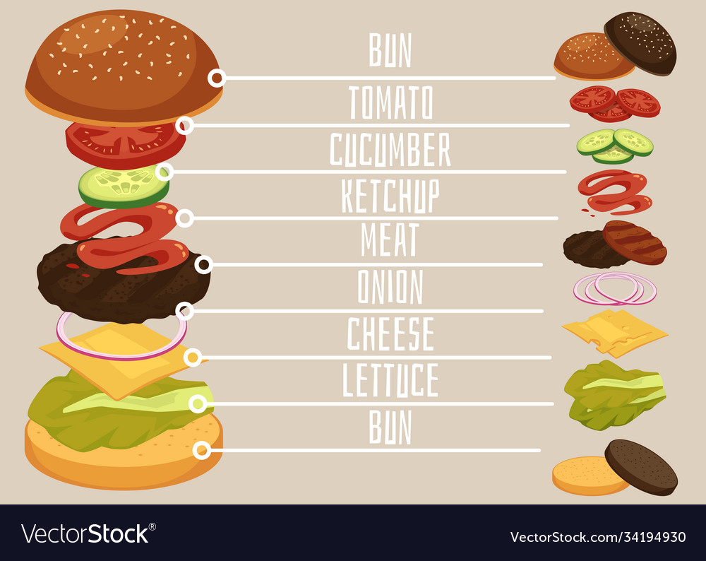 Sliced burger ingredients recipe picture flat Vector Image